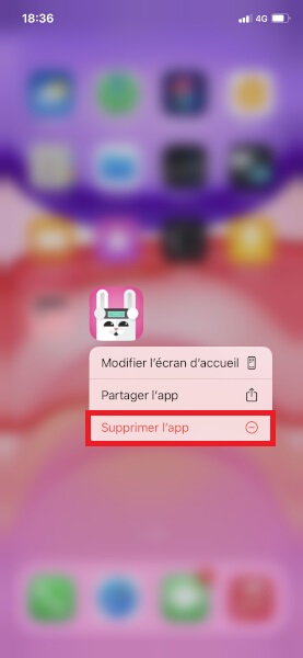 Comment supprimer une application de son iPhone 13 Pro ?